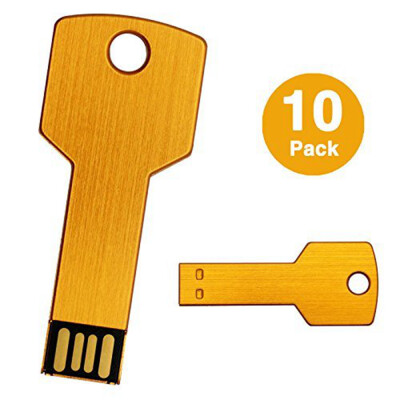 

Fillinlight 10PCS Pack Golden Metal Key USB Flash Drive USB 20 Pen Drive Waterproof Chip Mini Thumb Drive