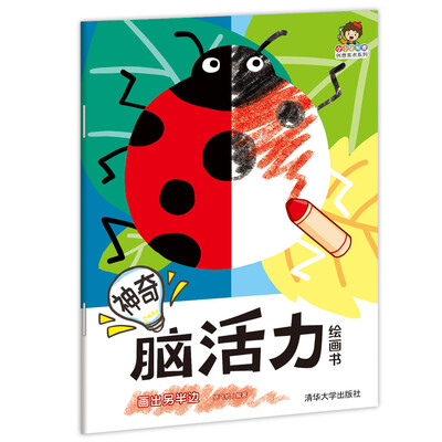 

神奇脑活力绘画书画出另半边/小小毕加索创意美术系列