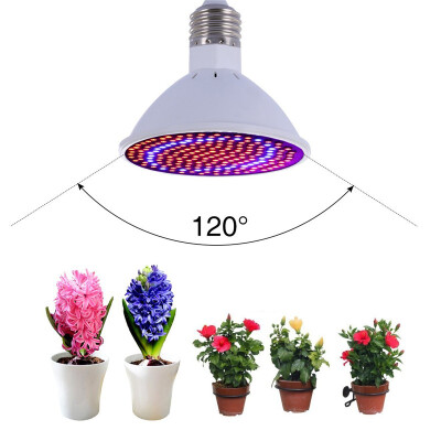 

LED Grow Lights Bulb 20W E27E26 LED Grow Light Plant lights Bulb Greenhouse Plant lights Seedling Light 166 Red 34 Blue for Gar