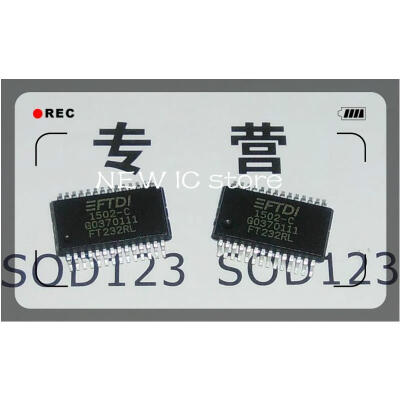 

2pcs/lot FT232RL FT232 SSOP-28 Original authentic and new Free Shipping IC