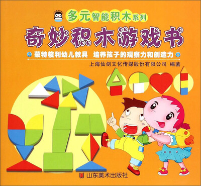 

多元智能积木系列：奇妙积木游戏书