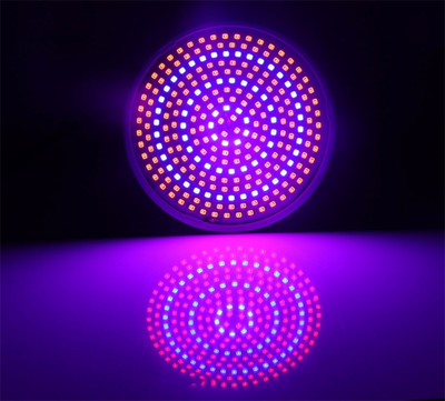 

260LED Grow Light E26/E27 Round LED Full Spectrum Plant Growing Light Bulb for Hydroponic House Plant and Indoor Gardens Replicate