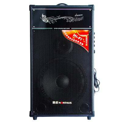 

NINTAUS SM-016 Outdoor High Power Multimedia Active Audio Stage Performance Quad Dance Speaker (черный)