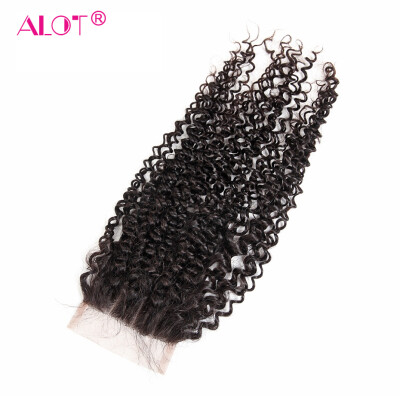 

Alot Malaysian Kinky Curly Virgin Hair 100 Lace Closure 44 Human Hair Cheap FreeMiddleThree Part 1Pcs Lace Closure Natural Col