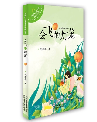 

小树叶儿童文学精品丛书：会飞的灯笼