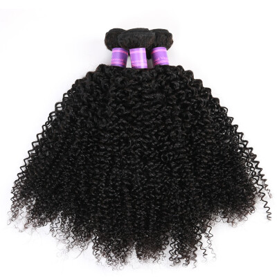 

8A Malaysian Kinky Curly Virgin Hair 4 Bundles Malaysian Curly Hair Malaysian Kinky Curly Hair Curly Weave Human Hair Extension