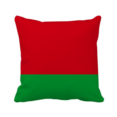 

Belarus National Flag Asia Country Square Throw Pillow Insert Cushion Cover Home Sofa Decor Gift