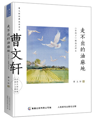 

曹文轩经典品读书系 走不出的油麻地 《草房子》精选点评本