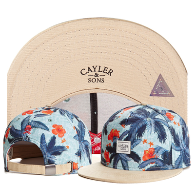 

2018 Wholesale Cayler & Sons baseball caps Brooklyn Snapback Caps adjustable dad hats for men bones snapbacks bone gorras cap