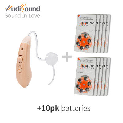 

Audisound D1604F Hearing Aid Of Right Ear Convenient Hearing Aid Best Sound Amplifier with 60PCS10 CARD A13 Long Lasting Battery