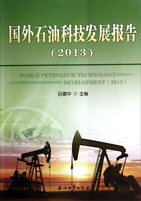 

国外石油科技发展报告(2013