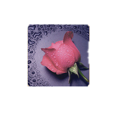 

DIY DIY diamond Embroidery beautiful rose 5D diamond painting of Cross stitch kit living room Needlework set embroidery