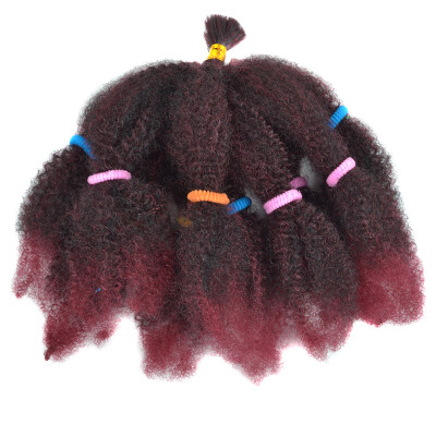 

Chorliss 2X Afro Kinky Bulk Hair Synthetic Hair Extensions Kanekalon Crochet Braids Bug Crochet Braiding Twist Hair 1B 100gpack