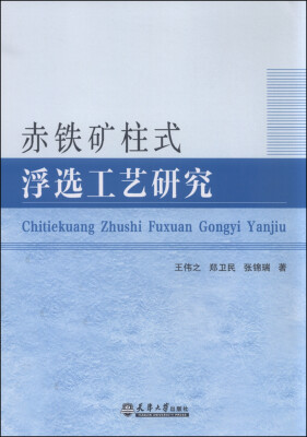 

赤铁矿柱式浮选工艺研究