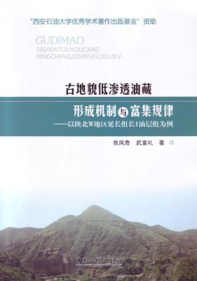 

古地貌低渗透油藏的形成机制与富集规律以陕北W地区延长组长1油层组为例