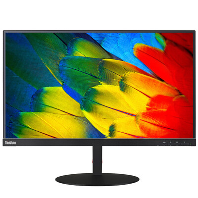 

ThinkVision T24m 238-inch Full-featured USB Type-C Blu-ray Anti-dazzling Non-Flashing PC Monitor DPHDMIUSB Interface