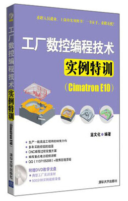 

工厂数控编程技术实例特训（Cimatron E10 附DVD-ROM光盘1张）