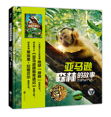 

亚马逊森林的故事