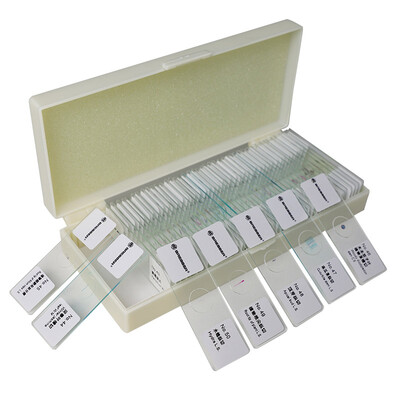 

Besser 59-84603 Microscope Accessories Microscope Biological Specimen Slide Childrens Student Science Teaching Microbiology Animal&Plant Insect Slice 100 Pieces