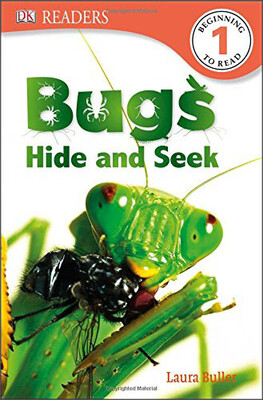 

Bugs Hide&Seek