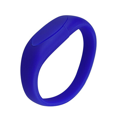 

Fillinlight Blue Buckle Type Silicone Bracelet USB Flash Drive USB 20 Wristband USB Disk Pen Drive