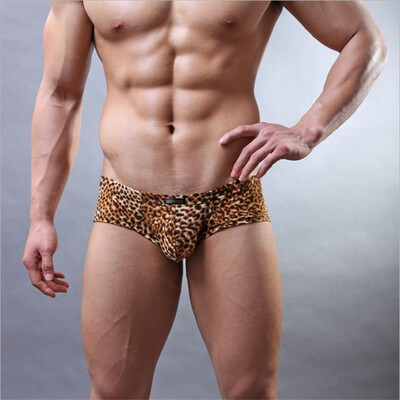 

Mens Leopard Sexy Low Waist Panties
