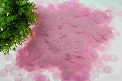 

Biodegradable 25CM Paper Confetti for Holiday Anniversary Birthday Graduation Wedding Bridal & Baby Parties Circles 30G