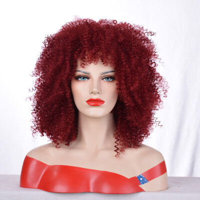 

QianBaiHui Short Wigs for Black Women Afro Curly Wig Kinky Wigs African American Hair Wig Heat Resistant with Wig Cap