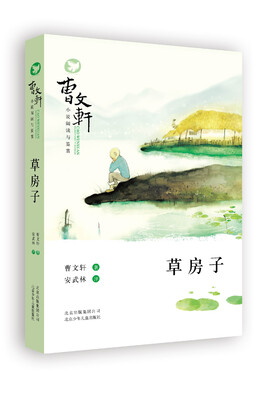 

曹文轩小说阅读与鉴赏：草房子