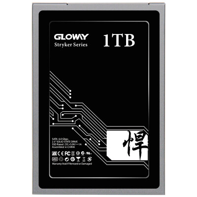 

Gloway will be 1TB SATA3 SSD solid state drive