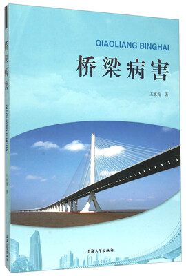 

桥梁病害