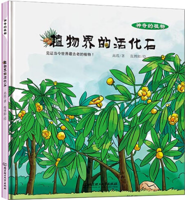 

植物界的活化石
