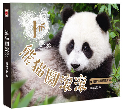 

熊猫圆滚滚（视频写真明信片）