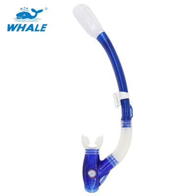 

Whale Brand горячая распродажа профессиональное снаряжение для подводного плавания с подводным плаванием