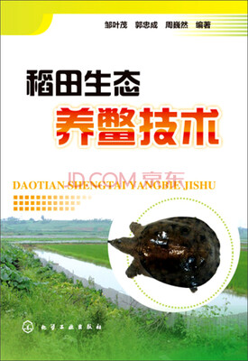 

稻田生态养鳖技术