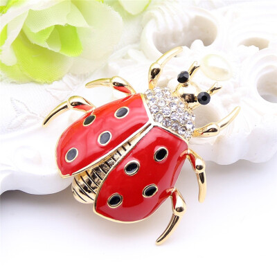 

Смазливая эмаль Esmalte Beetle Insect Brooch Icon With Pin для женщин Мужчины Хэллоуин Свитер Кардиган Клипы Подарки Broche Bijout