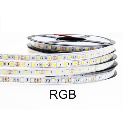 

IP67 IP68 Waterproof LED Strip 5050 DC12V 60 LEDM High Quality Silicon Tube Outdoors Under Water LED Strip