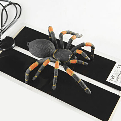 

Тепло коврик 15x28cm 7W рептилий питомнике инкубатор Pet грелку Brew ЕС Plug