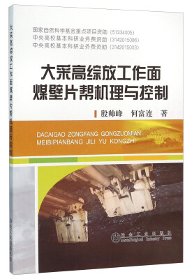 

大采高综放工作面煤壁片帮机理与控制