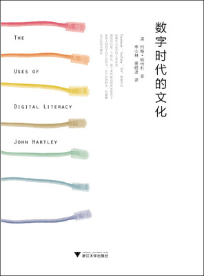 

数字时代的文化