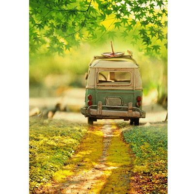 

Small Car Small Road Photo Backdrop 57FT Vinyl Fabric Cloth Digital Printing Photo Background s-684