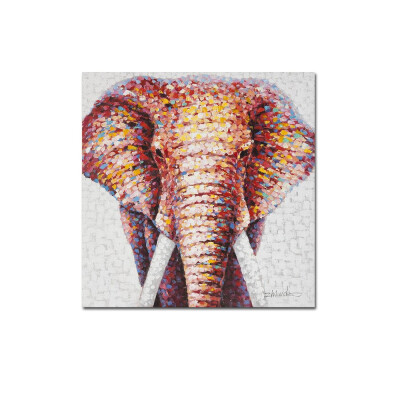 

Abstract colorful elephant decorative painting with frame canvas modern living room bedroom background wall