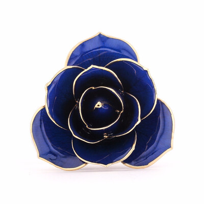 

Daya Blue 24K Gold Rose Unique Anniversary Birthday Gifts for Her Made from Real Rose Flower with Stand