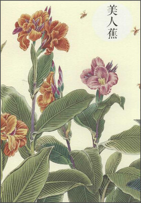 

祝大年格调笔记系列美人蕉