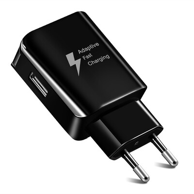 

European standard US charger Qualcomm QC20 really fast charge EP-TA300 lightning fast charge