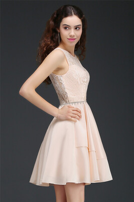 

A-Line Short Cute Homecoming Dress With Lace