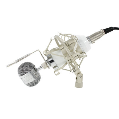 

Professional BM 8000 Sound Studio Recording Condenser Microphone with 35mm Plug Stand Holder for Personal Audio Recording KTV