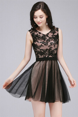 

A-Line Crew Short Sleeveless Tulle Lace Appliques Prom Dresses