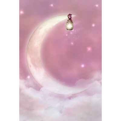 

New Moon Lantern Photo Background 57FT Vinyl Fabric Cloth Digital Printing Backdrop Curtain S-3134