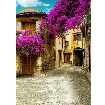 

Village Purple Cloud Photo Backdrop 57FT Vinyl Fabric Cloth Digital Printing Photo Background s-714